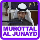 Murotal Juz 30 Toha Al Junayd アイコン