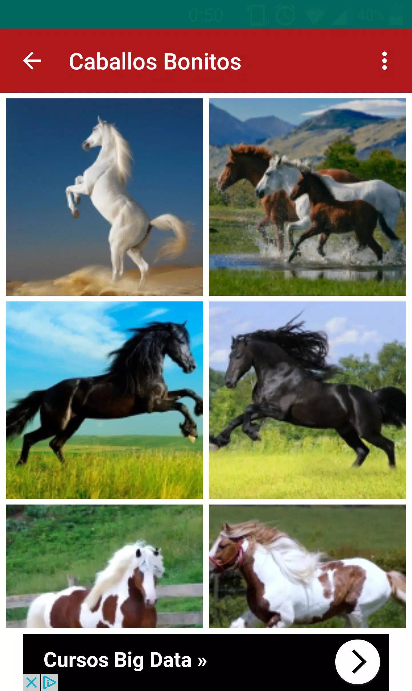 Fondos de Pantalla de Caballos APK for Android Download Fondos de Pantalla de Caballos APK for Android Download