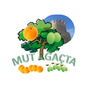 Mut Ağaçta APK