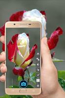 Full Camera Free 포스터