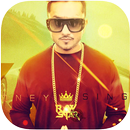 App For Yo Yo Honey Singh  Video Album Songs APK