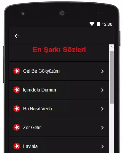 Ilyas Yalçintaş Şarkı Sözleri APK für Android herunterladen