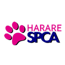 APK Harare SPCA