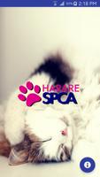 Harare SPCA poster