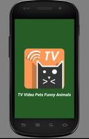 TV Video Pets & Funny Animals الملصق