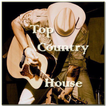 Top Country Song