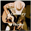 Top Country Song APK