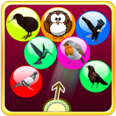 Bird Bubble Shooter APK