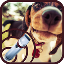 Training Dog Whistle:dog sound APK