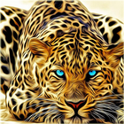 Cheetah Wallpapers -Fancy Free آئیکن