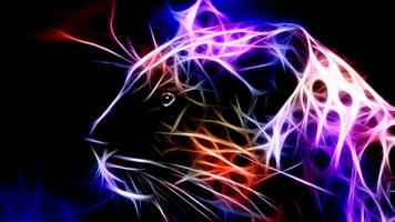 پوستر Cheetah Wallpapers -Fancy Free