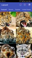 2 Schermata Cheetah Wallpapers -Fancy Free