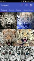 برنامه‌نما Cheetah Wallpapers -Fancy Free عکس از صفحه