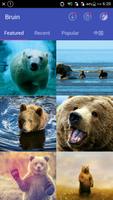 1 Schermata Bear Wallpapers