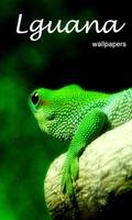 Lguana Wallpapers - Fancy Free Affiche