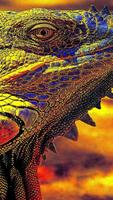 برنامه‌نما Lguana Wallpapers - Fancy Free عکس از صفحه