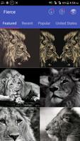 Lion Wallpapers - Fancy Free Affiche