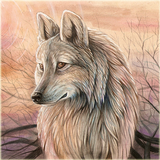 Wolf Wallpaper - Fancy Free icône