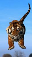 2 Schermata Tiger Wallpaper - Fancy Free