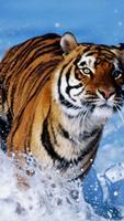 3 Schermata Tiger Wallpaper - Fancy Free