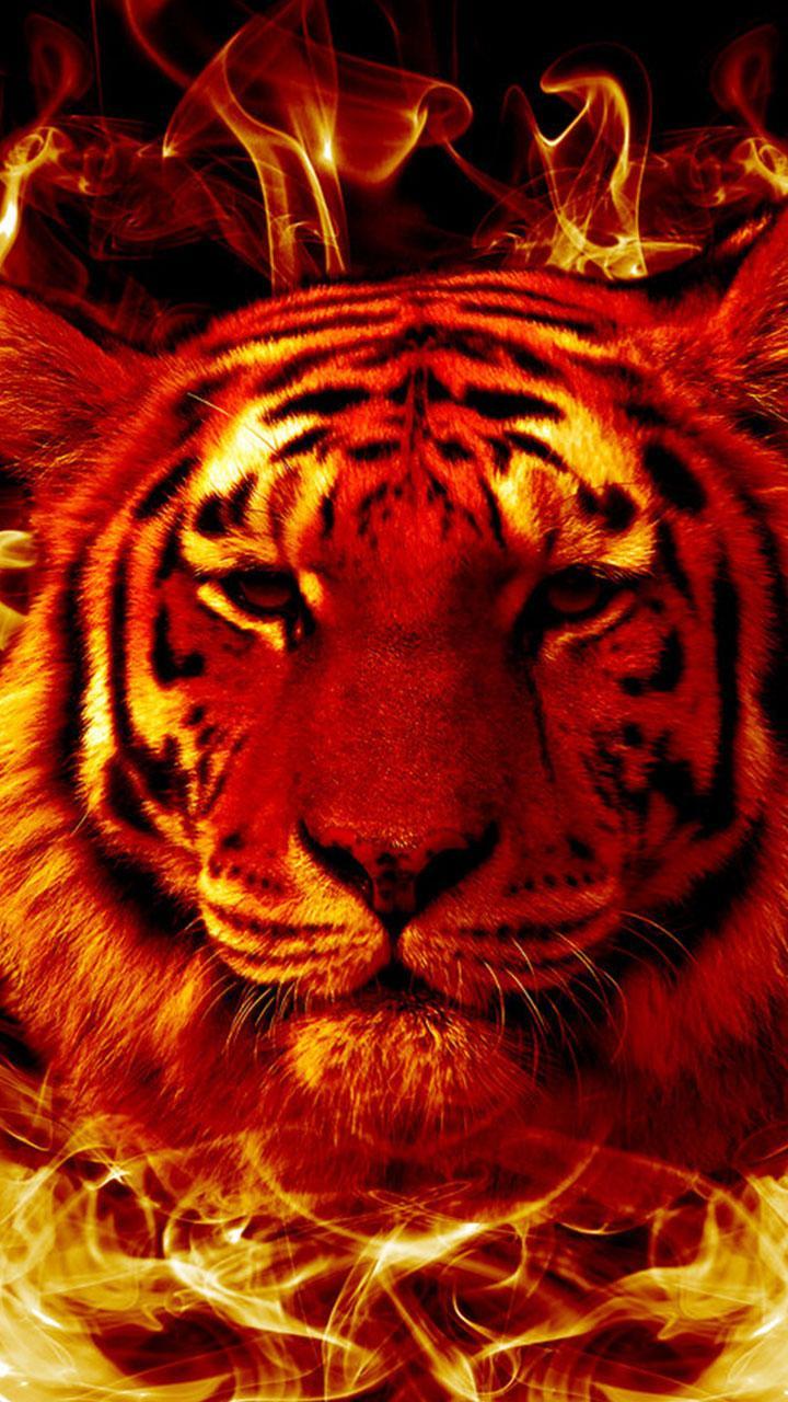 Tiger Wallpaper - Fancy Free APK for Android Download