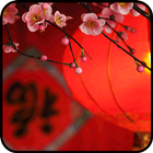 Chinese New Year wallpapers-icoon