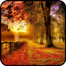 Avenue wallpapers APK