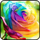 آیکون‌ Fancy Colorful Wallpapers