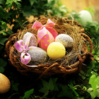 Easter day wallpapers icône
