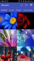 Beautiful Flower Wallpapers poster