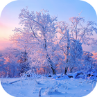 Beautiful Rime Wallpapers icon