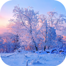 Beautiful Rime Wallpapers APK