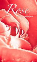 Beautiful Rose Wallpapers Affiche