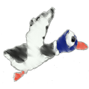 APK Duck Hunter - Chick Deney