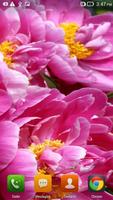 Beauty Flowers HD LWP screenshot 3