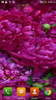 Beauty Flowers HD LWP poster