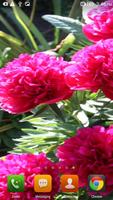 Beauty Flowers HD LWP screenshot 1