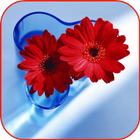 Flowers HD video wallpapers أيقونة