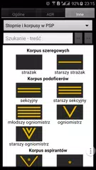 Descargar APK de Straż