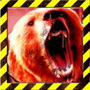 3D Hunting Grizzly Maze APK