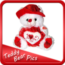 Latest Teddy Bear Gallery 2018 (Offline) APK