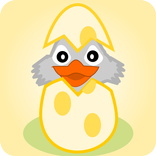 The Ugly Duckling Book