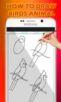 How to draw a Birds 2016 capture d'écran 2