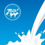 Doodh Diary (Milk)