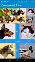 Fun with Animal Sounds poster