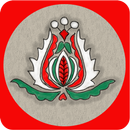 Pocket Hungarian APK