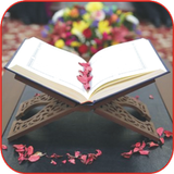 Digital Quran أيقونة