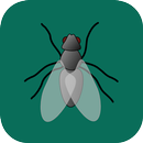 Flies Killer APK