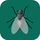 Flies Killer icon