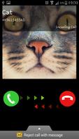 Call Video Cat - Fake Call poster